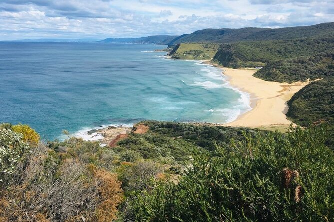 Royal National Park Hike, Swim and Wildlife Tour - Itinerary Highlights