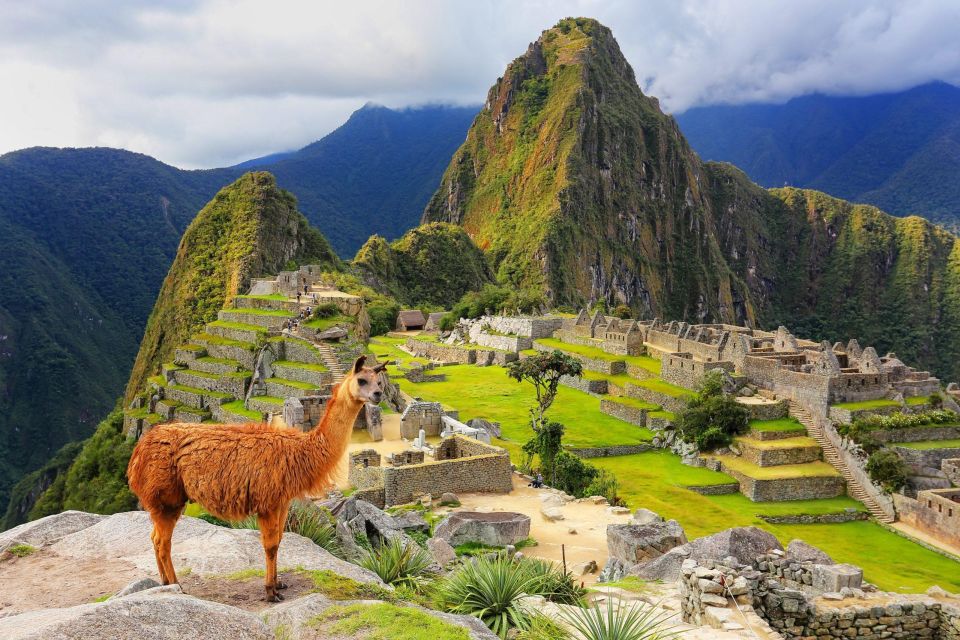 Salkantay Trek to Machu Picchu 4 Days - Inclusions Provided