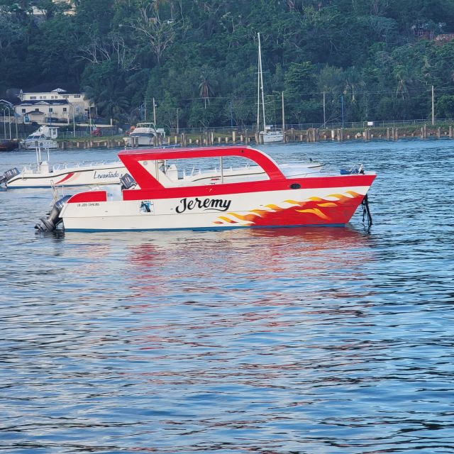 Samana: Rent Catamaran Boat in Samana Bay - Driver and Accessibility