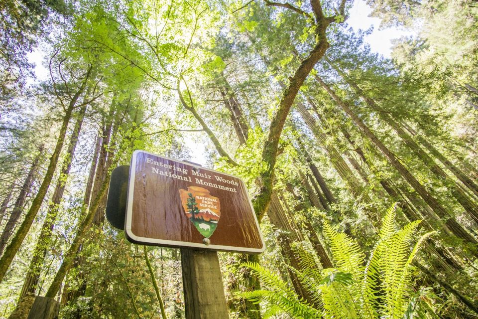 San Francisco: Muir Woods and Sausalito Experience - Tour Details