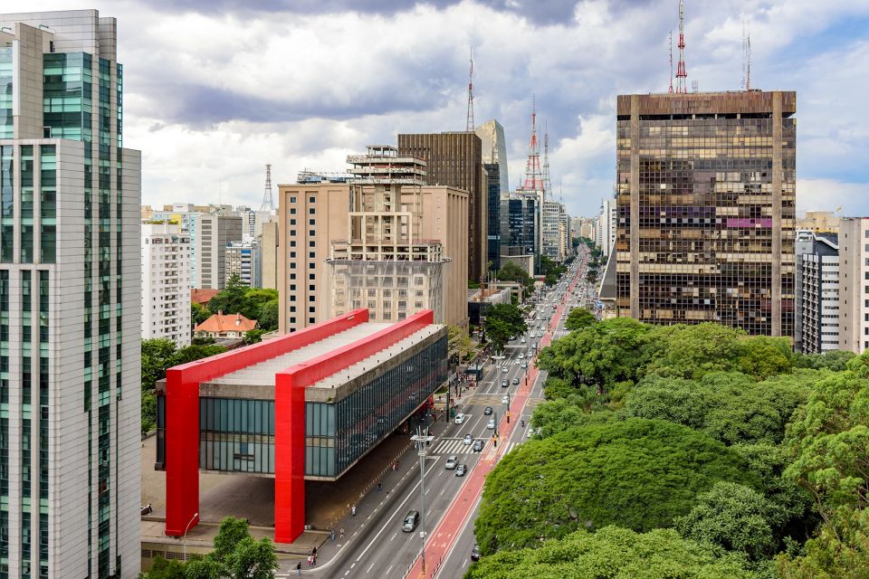 São Paulo City: 5-Hour Private Tour - Tour Description