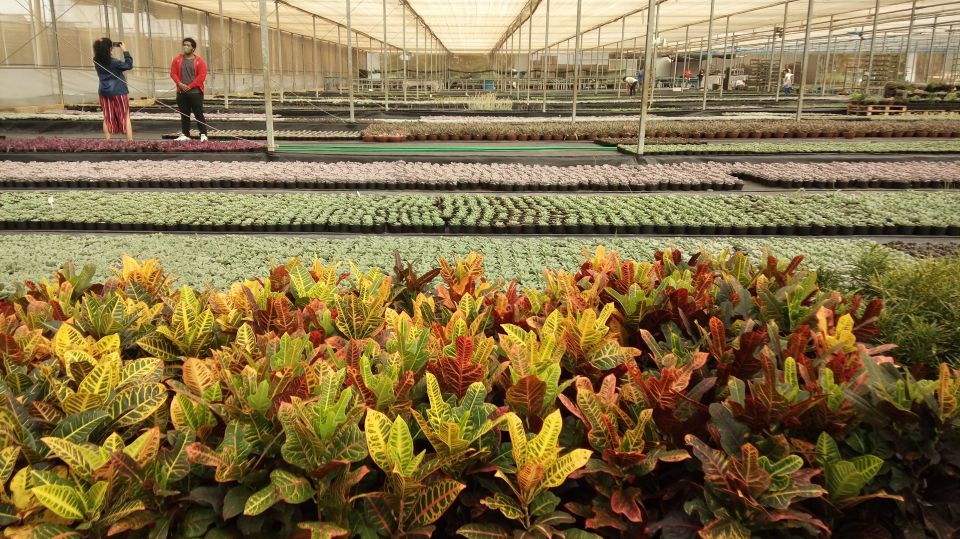 São Paulo: Holambra Colorful Flower Farm Guided Day Trip - Customer Reviews