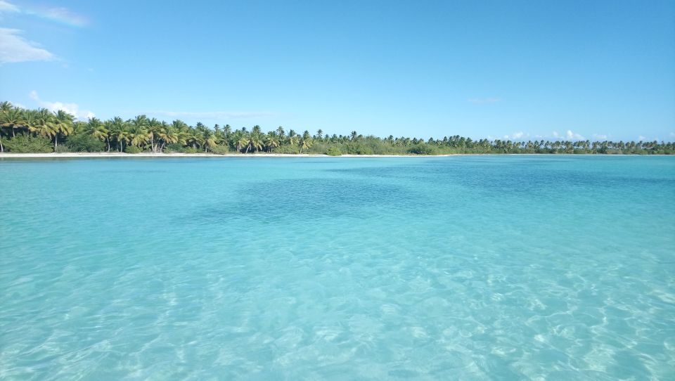 Saona Island: Small Group Virgin Beaches Cruise Day Trip - Inclusions