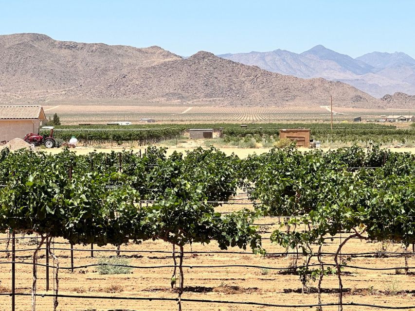 Scenic Desert Wine, Distillery Tastings/Brewery/RT66 & Lunch - Full Tour Description