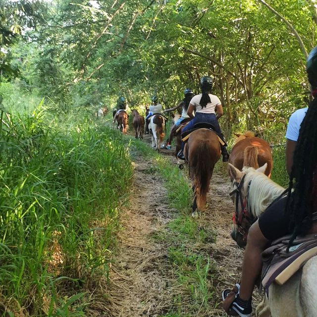 Scenic Horseback Trail - Group Size and Language