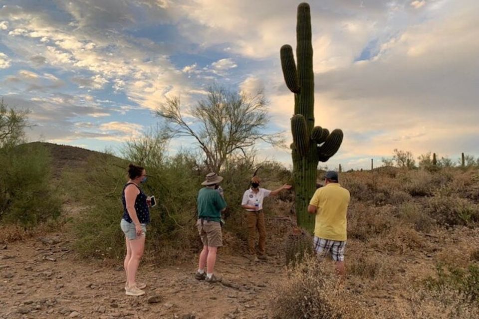 Scottsdale: McDowell Sonoran Preserve Hiking Tour - Experience Highlights