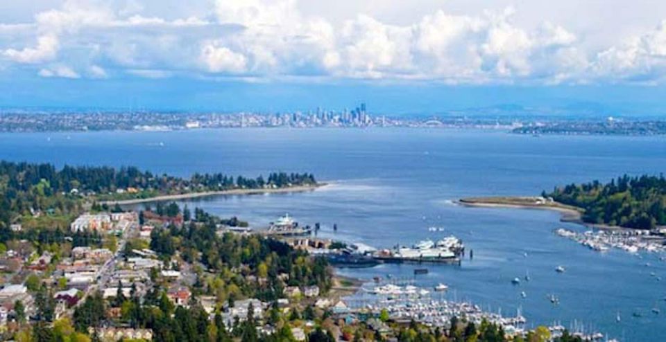 Seattle: Bainbridge Island E-Bike Tour - Activity Description