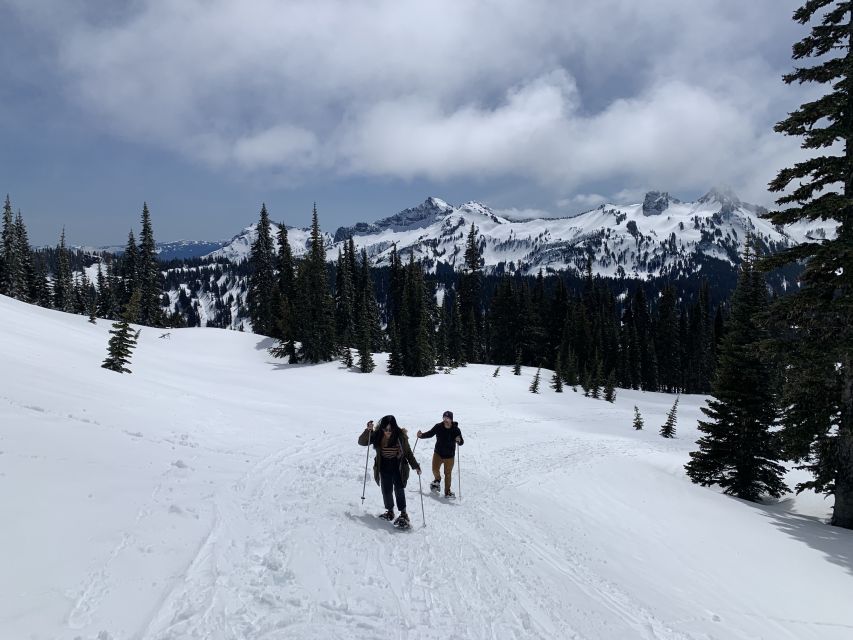 Seattle: Mt. Rainier Hiking W/ Waterfalls, Glaciers & Trees - Traveler Reviews