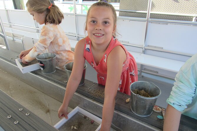 Shark Teeth and Shells, Dolphin and Shelling Tour Boat Clearwater Beach - Marine Wildlife Excitement