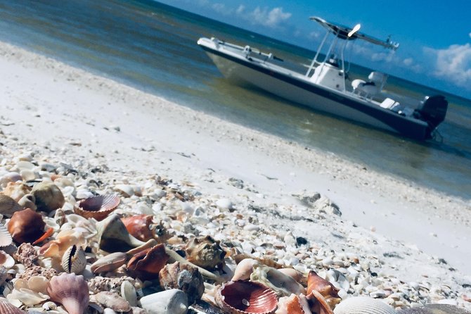 Shelling Tours - Fort Myers Beach / Naples - Inclusions and Logistics