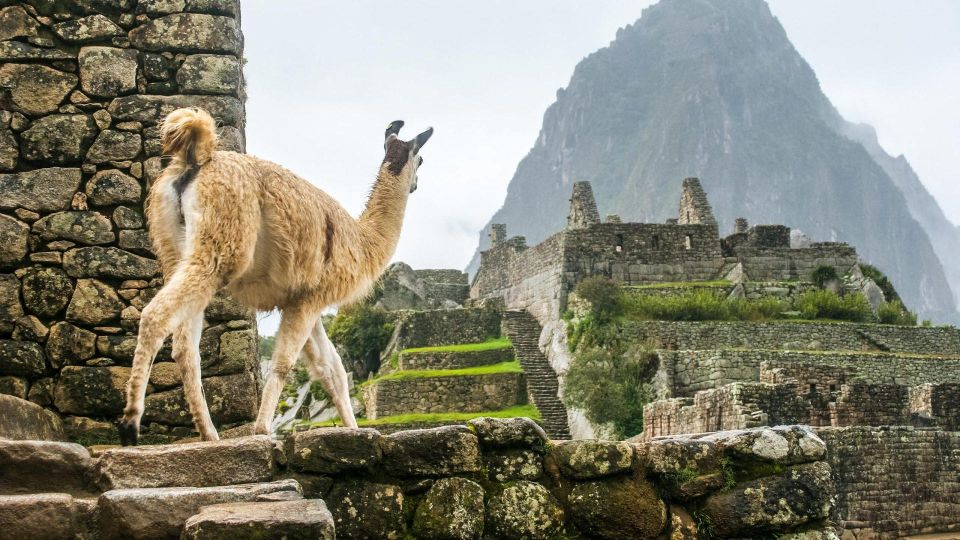 Short Inca Trail to Machu Picchu 2 Days - Inca Trail Highlights