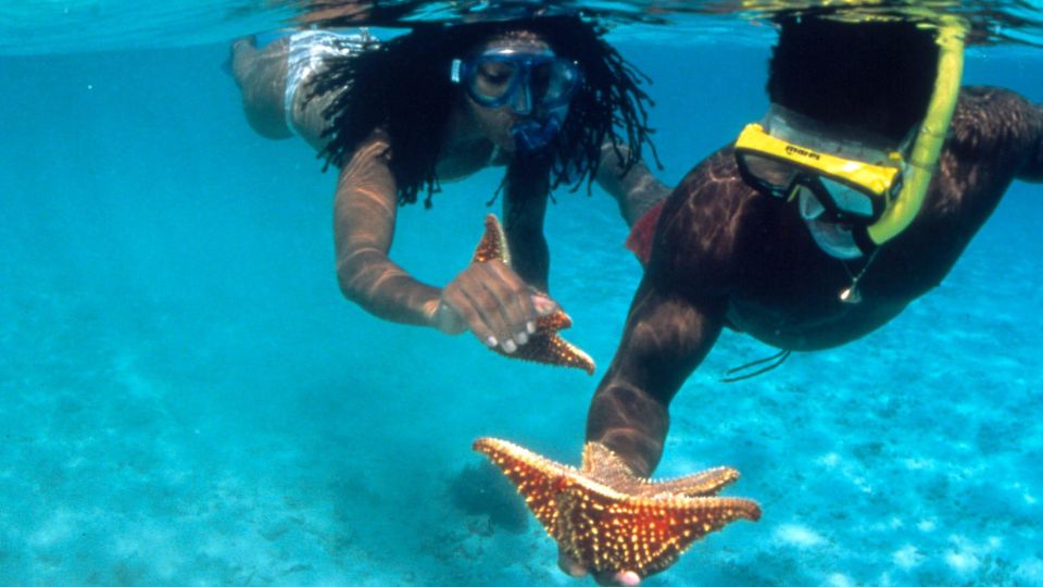 Snorkeling Activity With Boat Ride in Montego Bay - Important Information