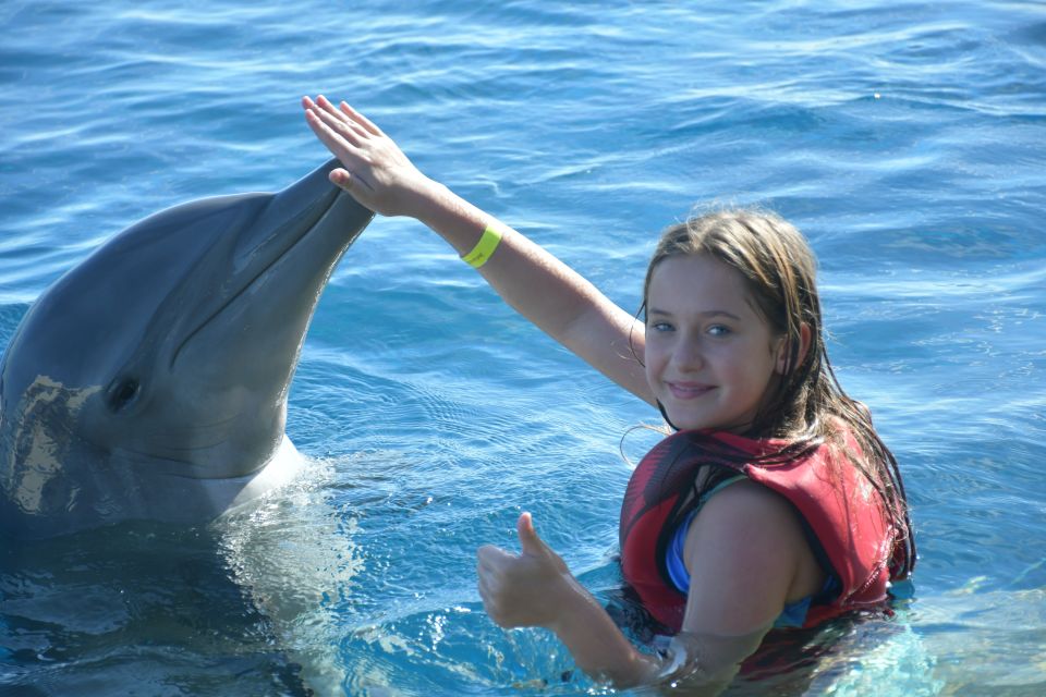 St. Augustine: Marineland Dolphin Encounter - Ticket Information