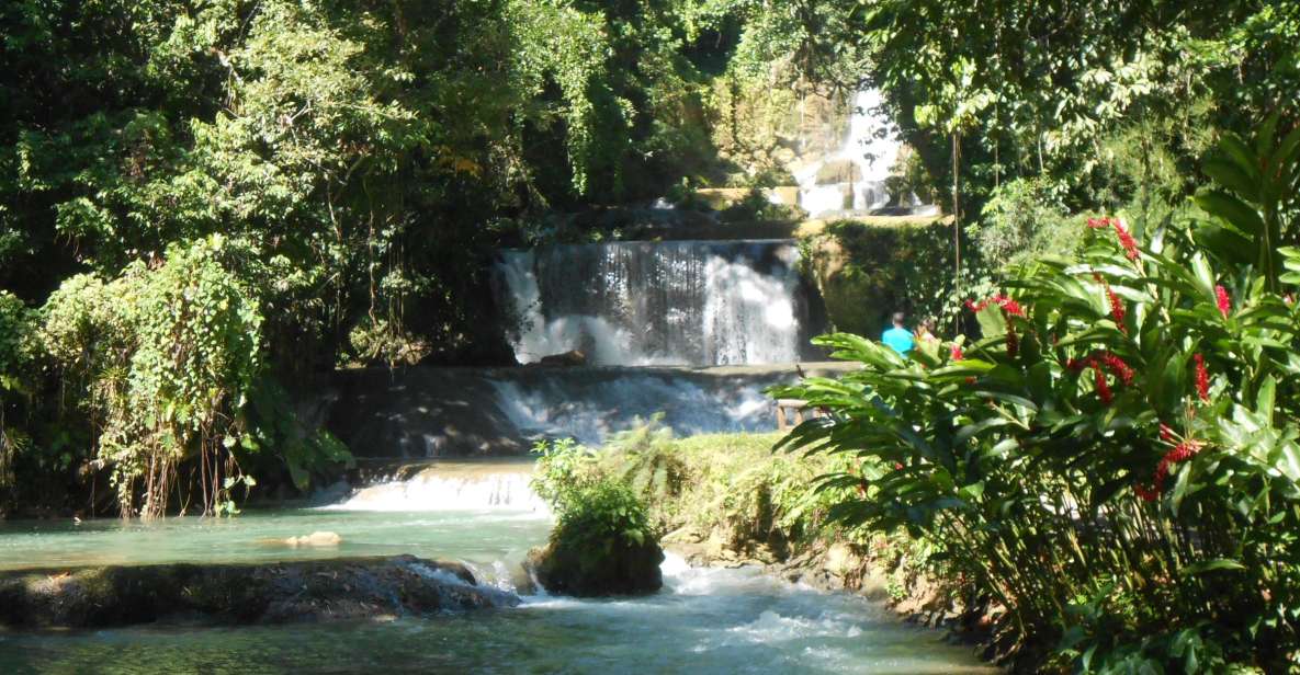 St Elizabeth: River Safari and Y.S. Falls With Lunch - Highlights