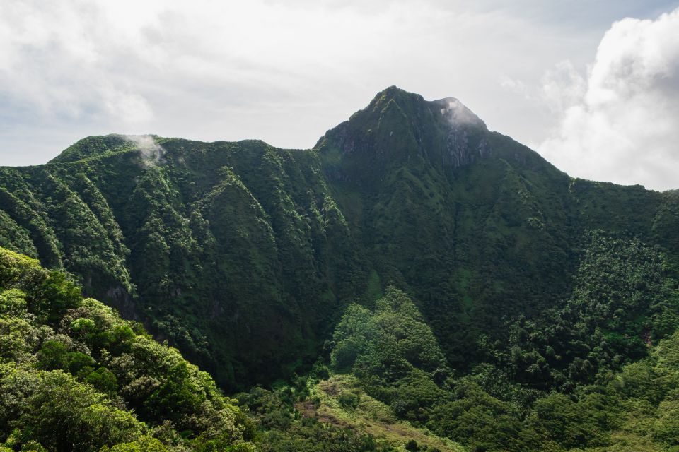 St. Kitts Mount Liamuiga Volcano Hike - Tour Highlights