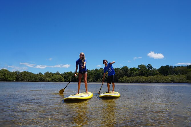 Stand-Up Paddle Board Tour in Byron Bay - Tour Participation Information