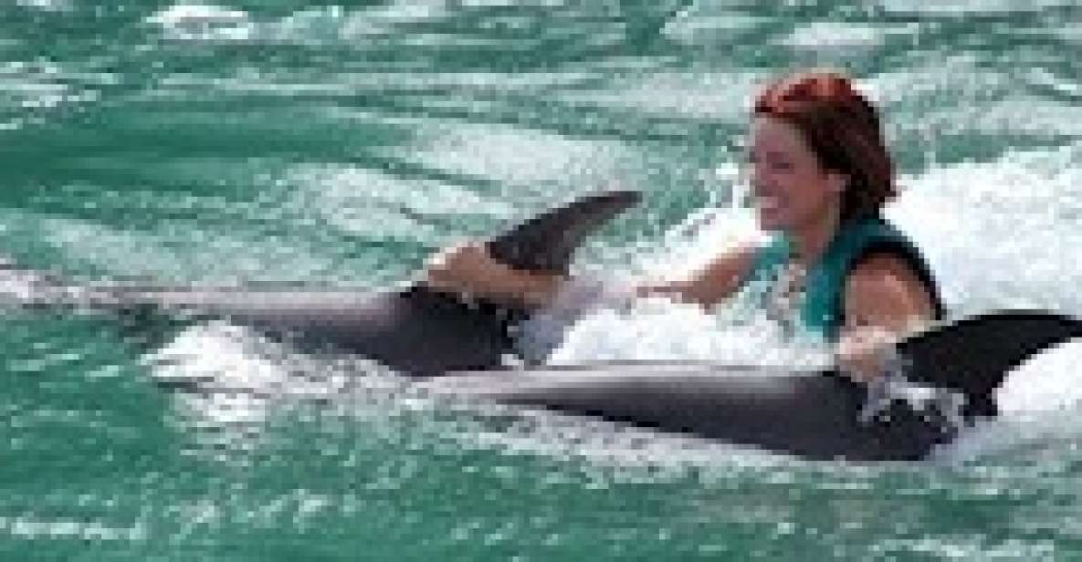 Swim With the Dolphins at Negrils Dolphin Cove - Pricing and Inclusions