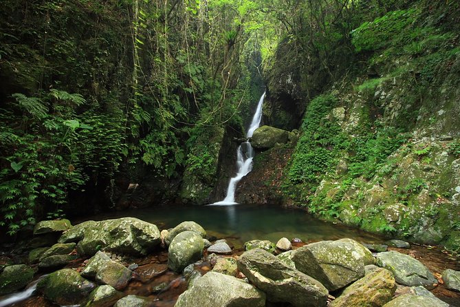 Tai Mo Shan Waterfall Adventure Hike - Waterfall Encounters