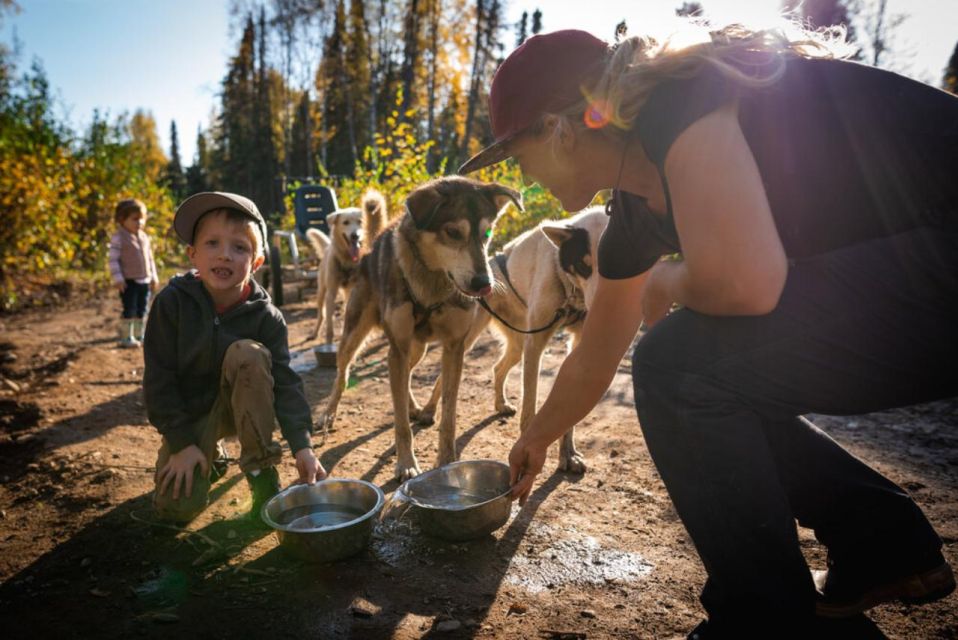 Talkeetna: Mushing Experience With Iditarod Champion Dogs - Meet Iditarod Champion Sled Dogs