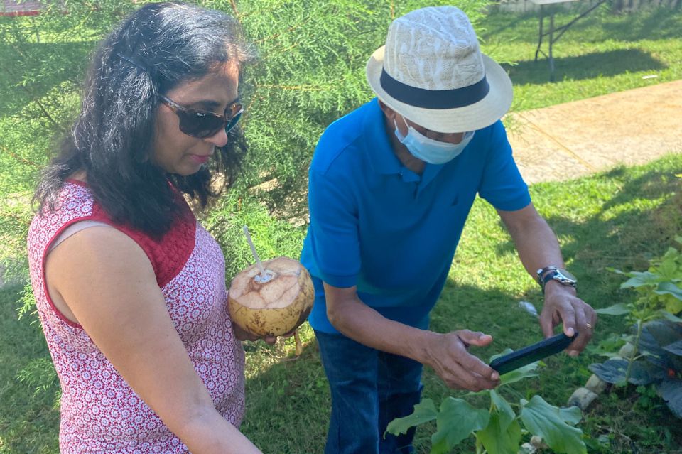 Taste of Jamaica Farm & Food Tour - Tour Highlights