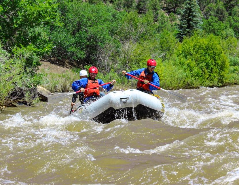 Telluride Whitewater Rafting - Afternoon Half Day - Location and Provider Details