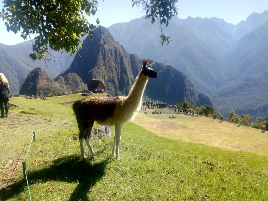 The Mysteries of Cusco and Machupicchu Huchuy Qosqo - Day 1 - Cusco Visit