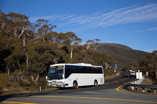 Thredbo & Perisher Bus Trip From Canberra - Accessibility and Requirements