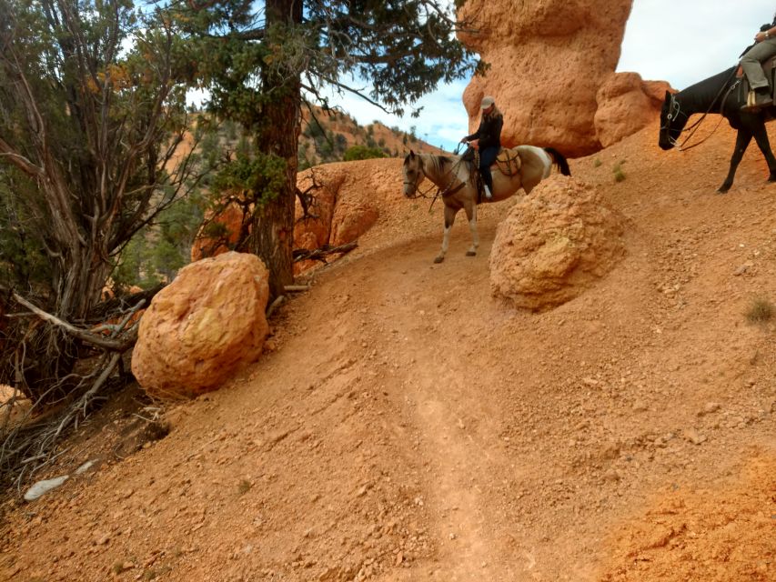 Thunder Mountain Trail: Scenic Horseback Ride - Booking Information