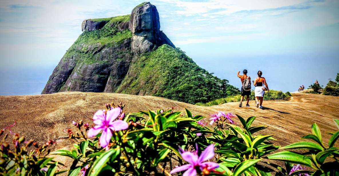 Tijuca National Park Small-Group Hike to Pedra Bonita - Experience Highlights