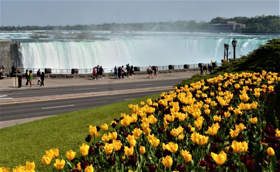 Toronto: Small-Group Niagara Falls Day Trip - Highlights
