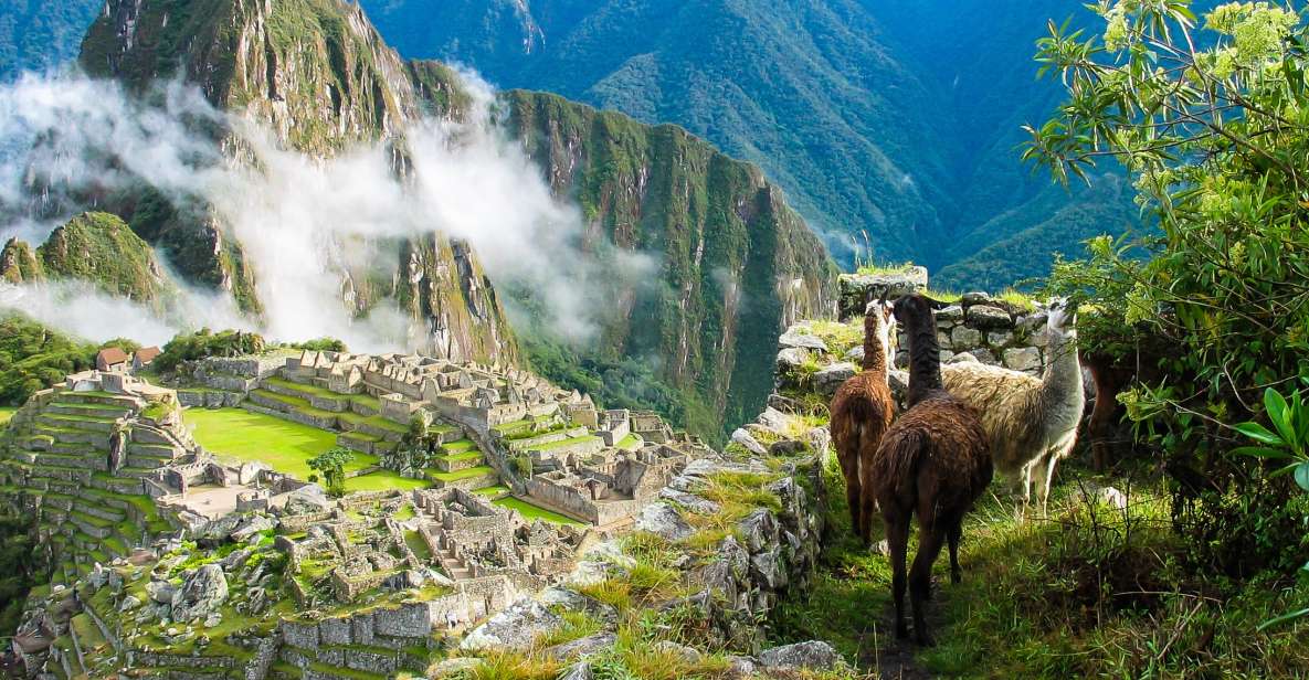 || Tour + Hotel || Cusco and Machu Picchu 5 Days 4 Nights - Day 1 - City Tour Cusco