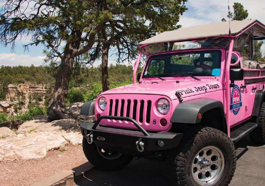 Tusayan: Grand Canyon Desert View & South Rim Pink Jeep Tour - Tour Experience