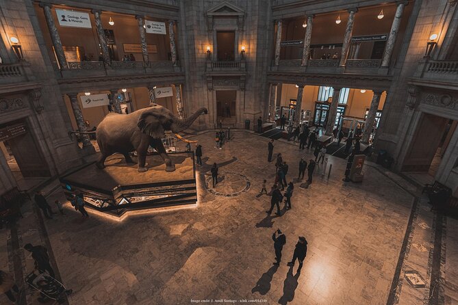 Two Smithsonian Museums: American & Natural History Private Tour - Highlights and Inclusions