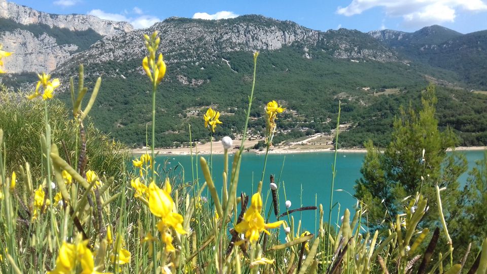 Verdon Gorge: the Grand Canyon of Europe, Lake and Lavender - Tour Highlights