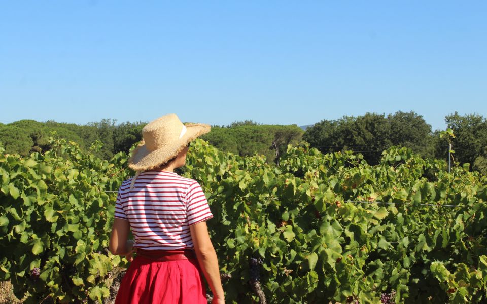 Vintage Wine Tour in Saint-Tropez - Tour Includes