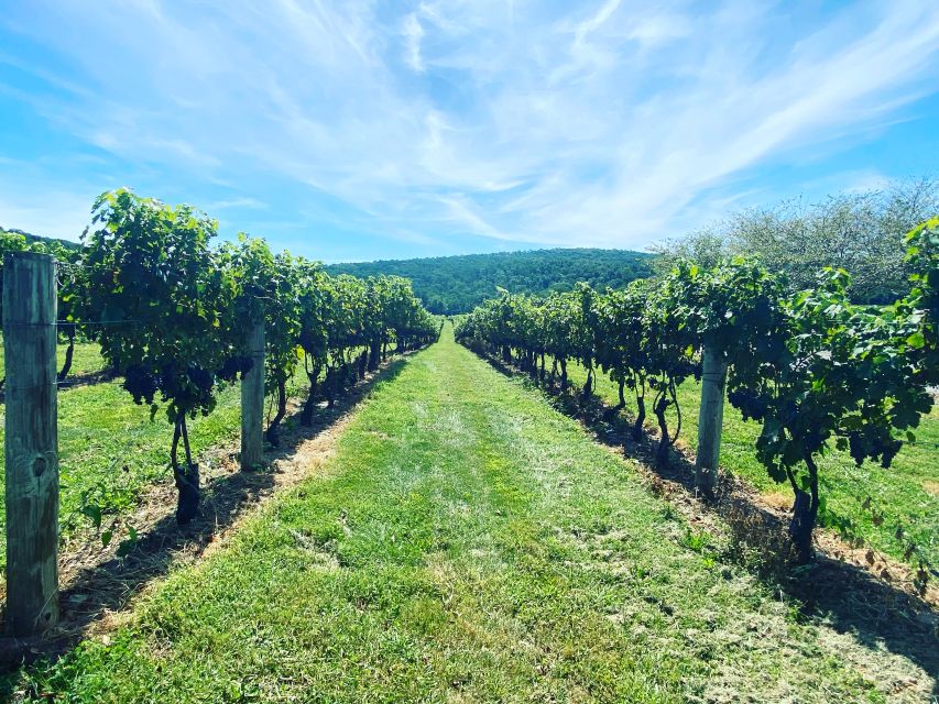 Virginia Wineries Tours: Experience Virginia Wineries - Booking Information