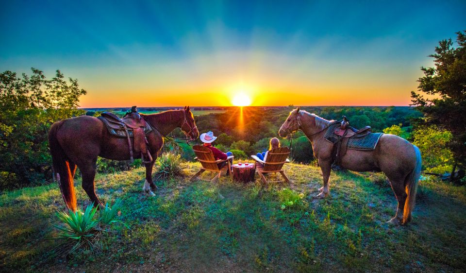 Waco: Sunset Horseback Ride With Campfire, Smores, & Games - Provider Information