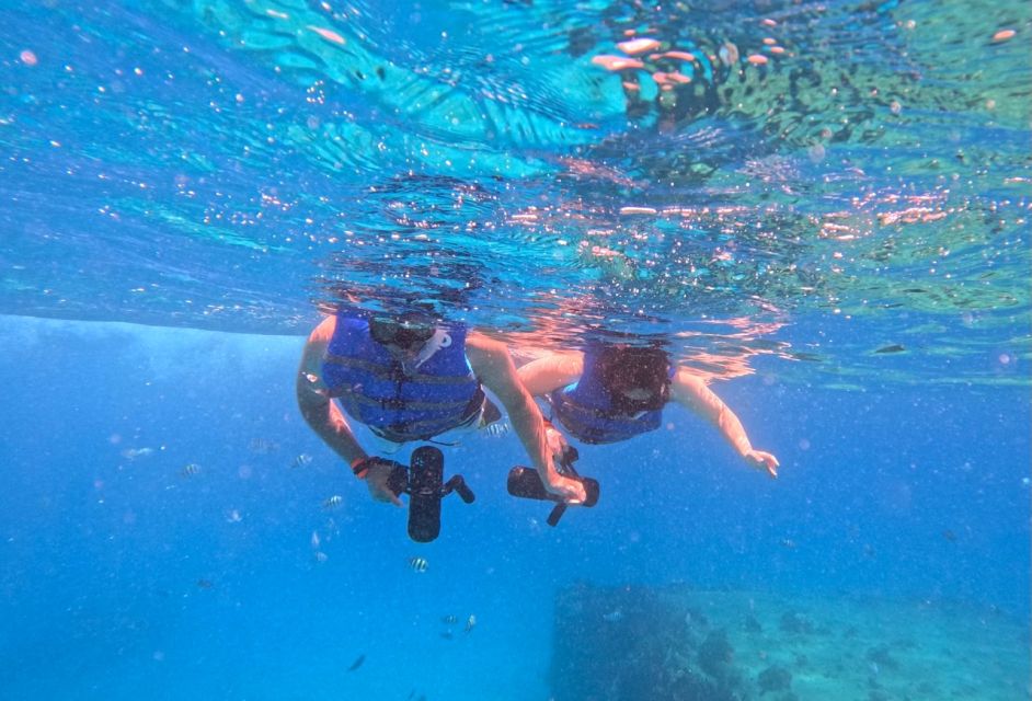 Waikiki: Monk Seal Bay Dolphin and Turtle Jet Snorkel Tour - Customer Reviews