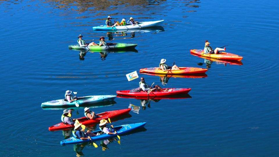 Willow Beach: Black Canyon Kayaking Half Day Tour-No Shuttle - Pricing Information
