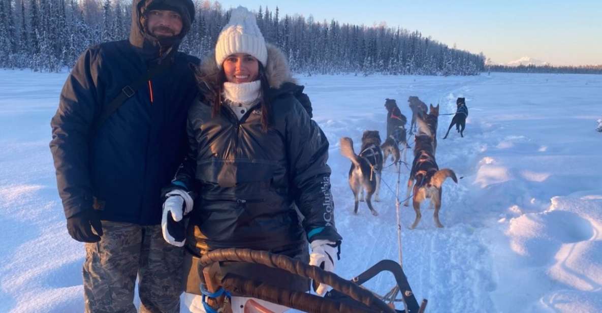 Willow: Traditional Alaskan Dog Sledding Ride - Experience Highlights