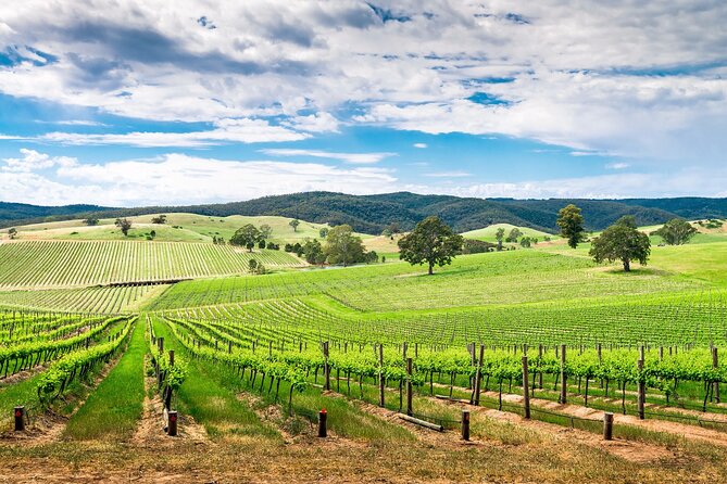 Wines and Whispers:Barossa Valley Private Wine Tour From Adelaide - Location and Inclusions