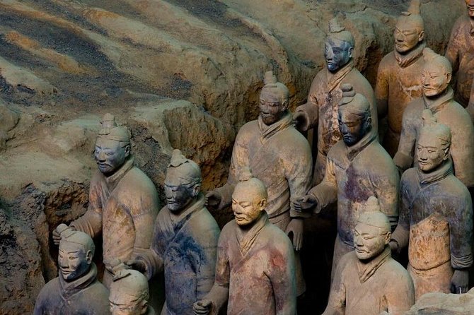 Xian Highlights Day Tour: Terracotta Warriors and City Sightseeing - Customer Reviews and Experiences