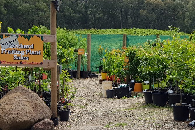 Yarra Valley Wineries and Rayners Orchard Tour From Melbourne - Itinerary Overview