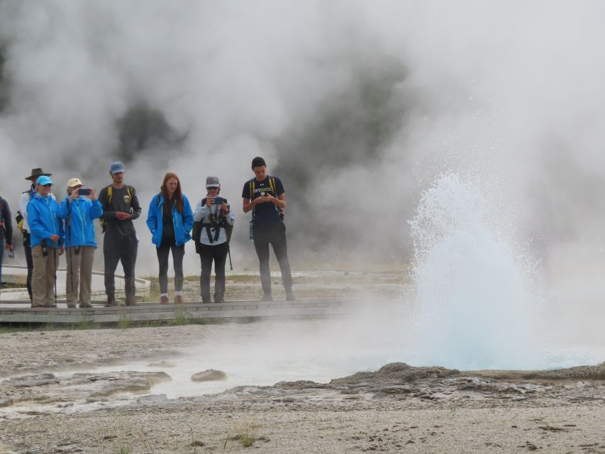 Yellowstone: Upper Geyser Basin Hike With Lunch - Experience Highlights