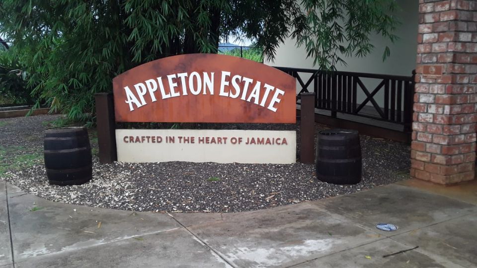 Ys Falls and Appleton Estate Private Tour - Inclusions