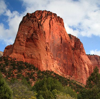 Zion National Park Day Trip From Las Vegas - Customer Review