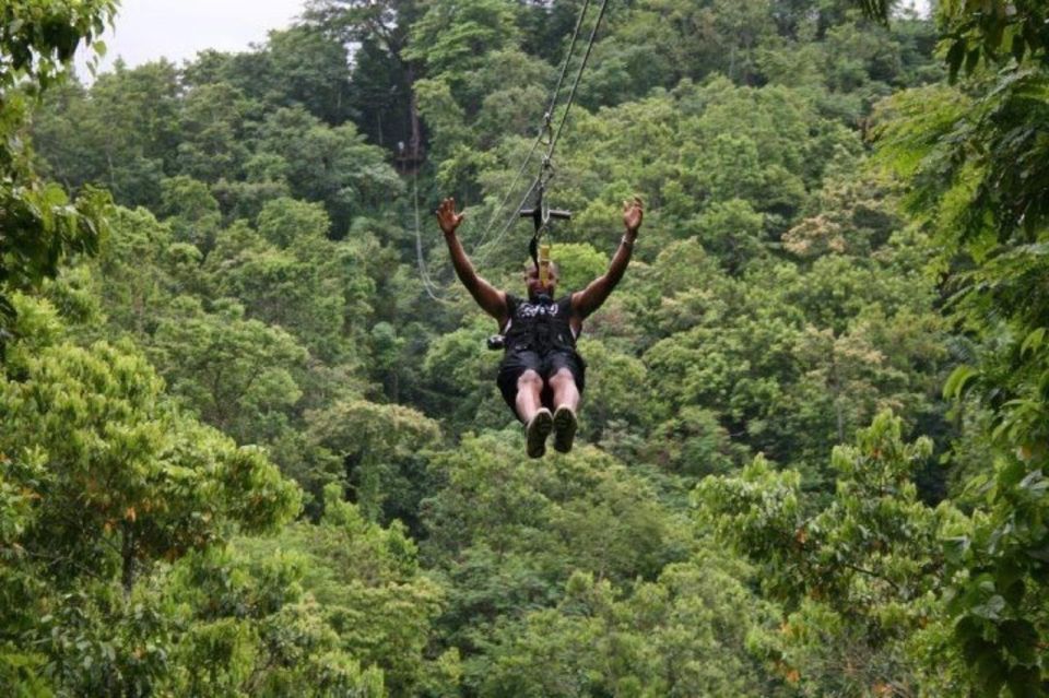 Zipline Over the Dunns River Falls Adventure - Booking Information