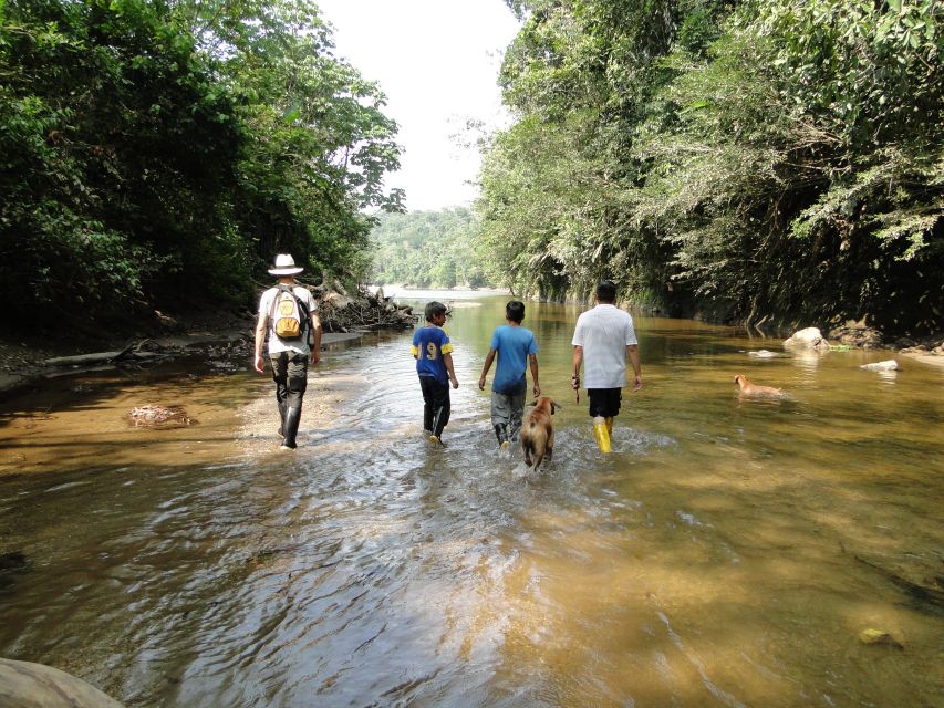 3 Day Jungle Tour Expedition Amazonia Ecuador All Included - Key Points