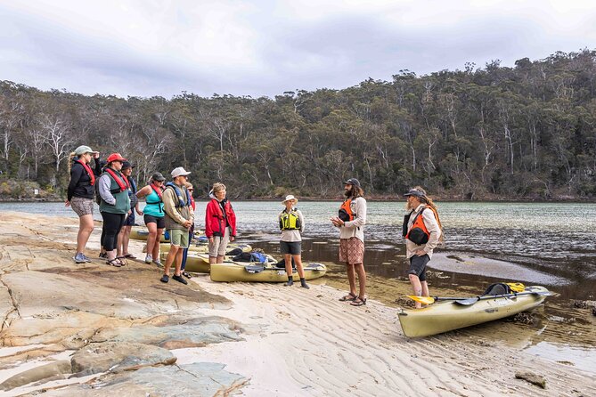 3 Hour Aboriginal Culture Tour With Kayaking in Coraki Drive - Cultural Insights