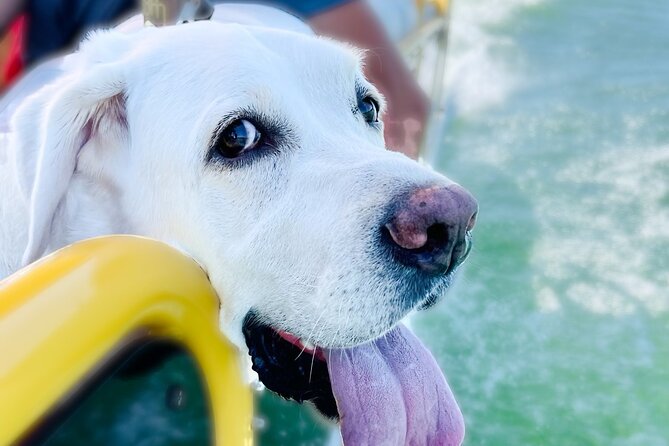 3 Hour Private Boat Charter on Lake Travis for up to 12 People - Meeting and Pickup Information